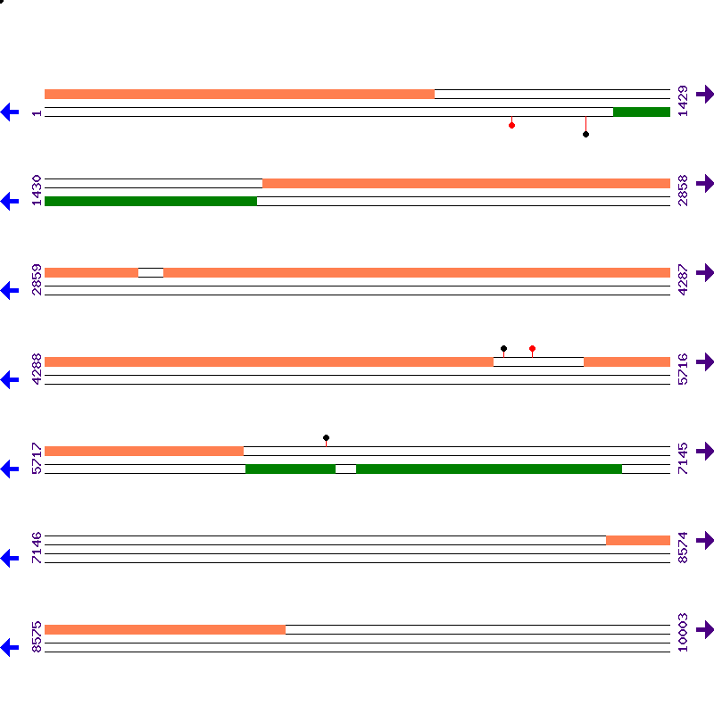 Genome View