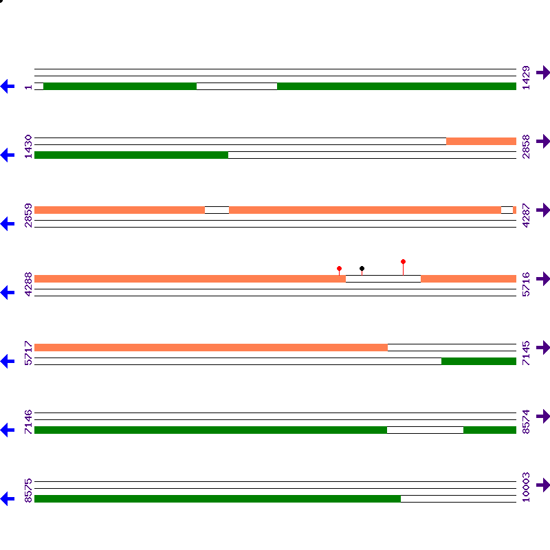 Genome View