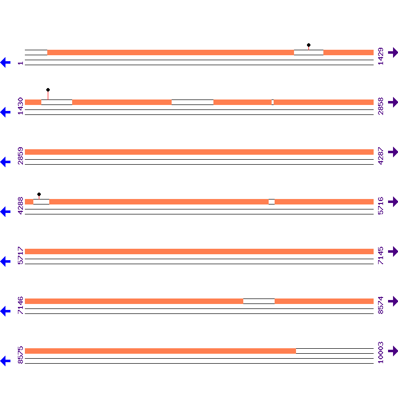Genome View