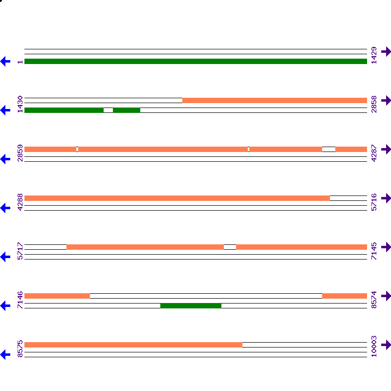 Genome View