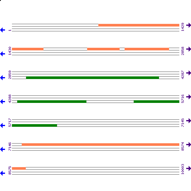 Genome View