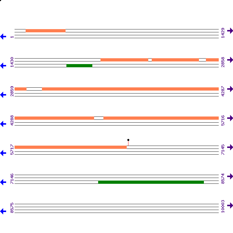 Genome View