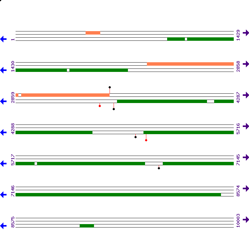 Genome View