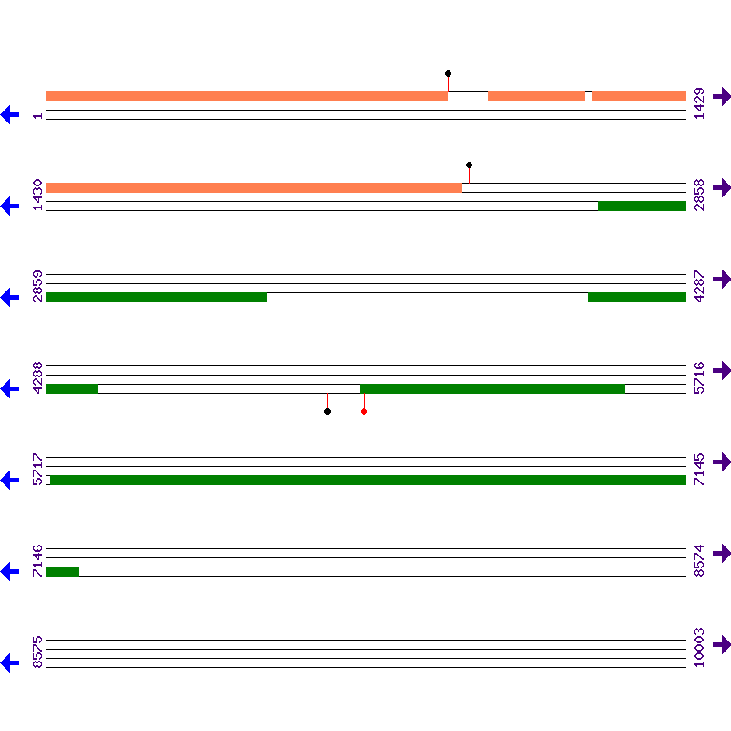 Genome View