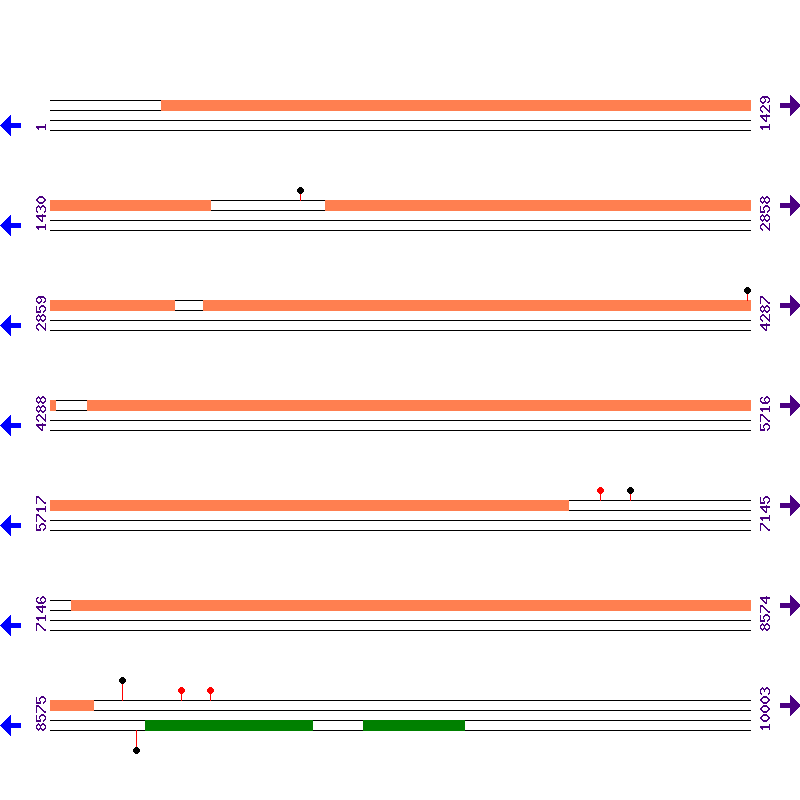 Genome View