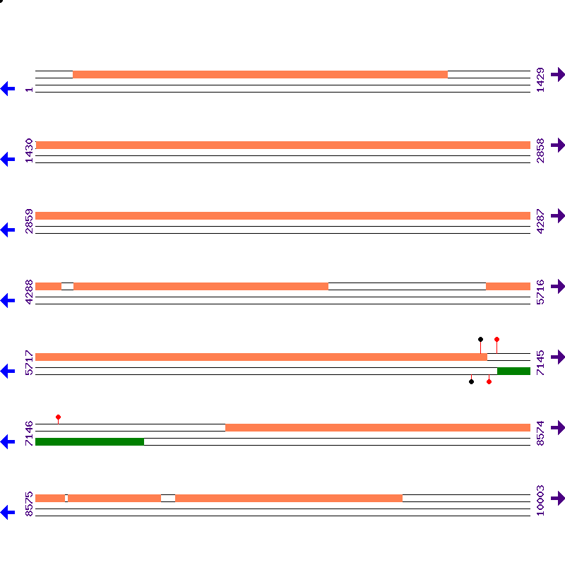 Genome View