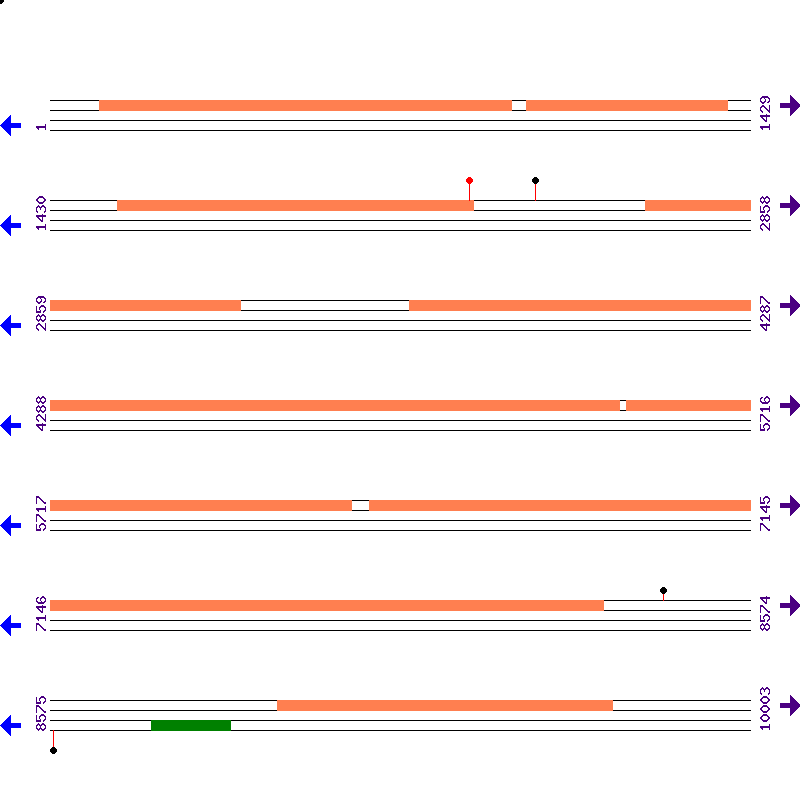 Genome View