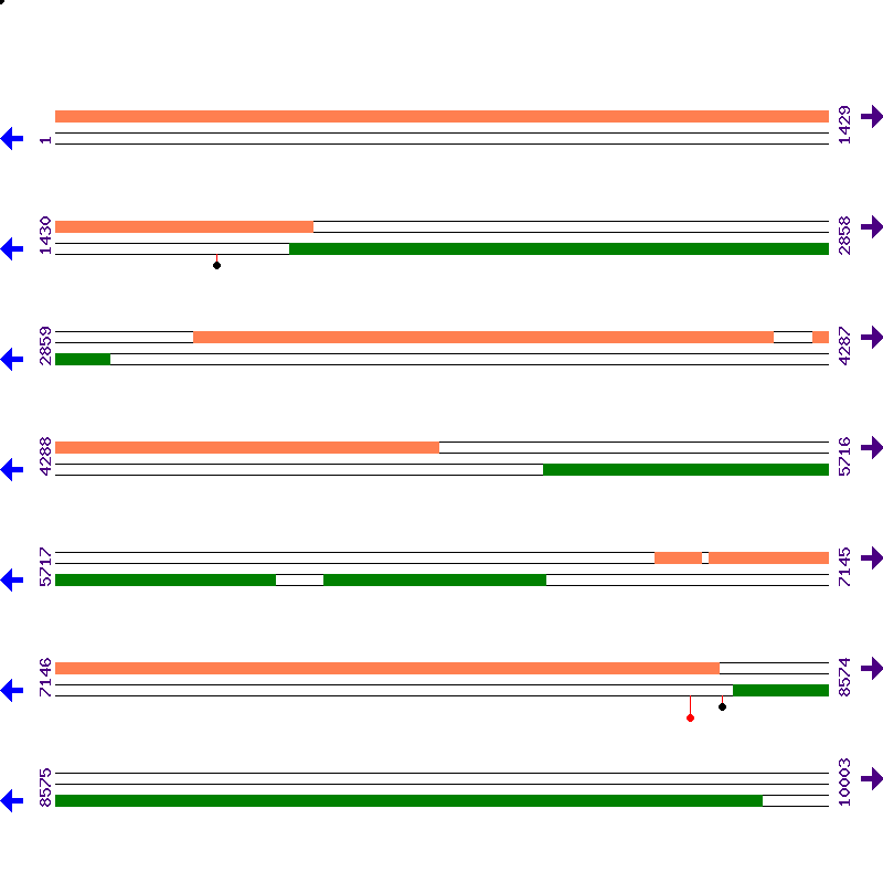 Genome View