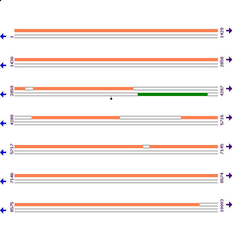 Genome View