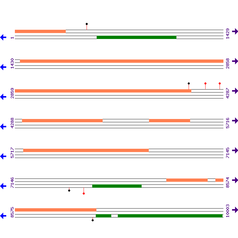 Genome View
