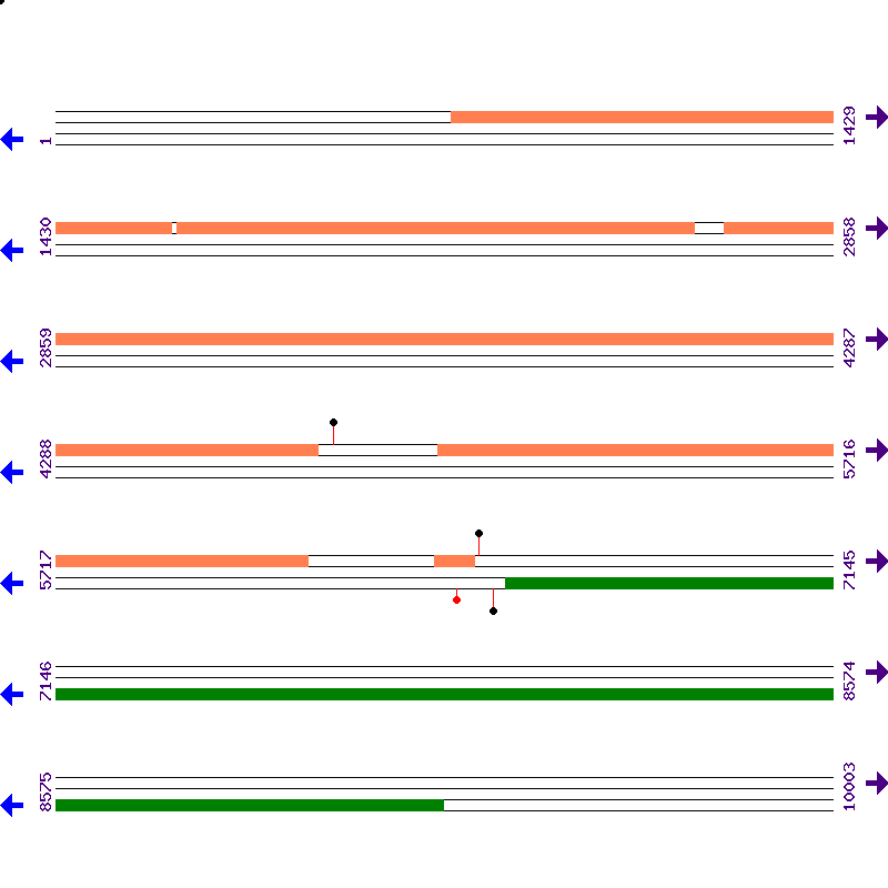 Genome View