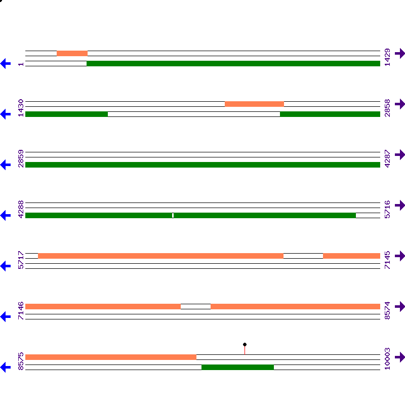 Genome View