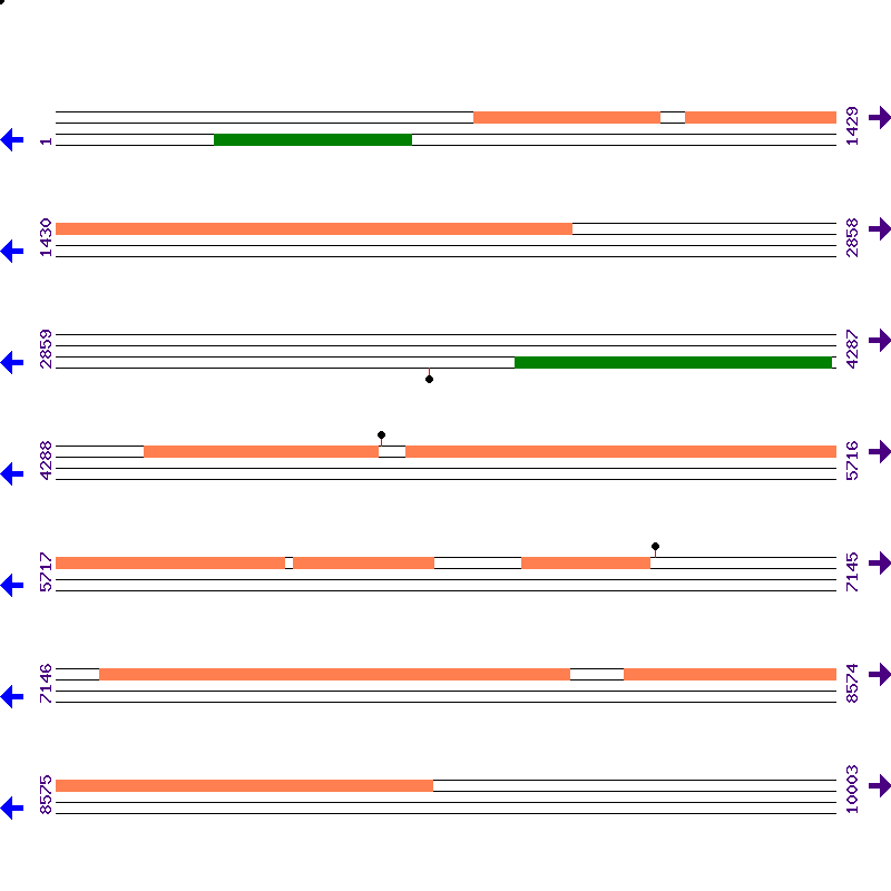 Genome View