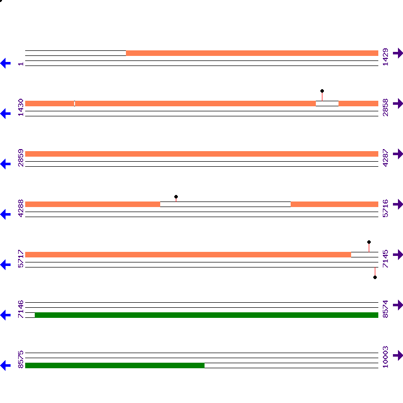 Genome View