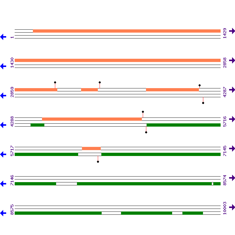 Genome View