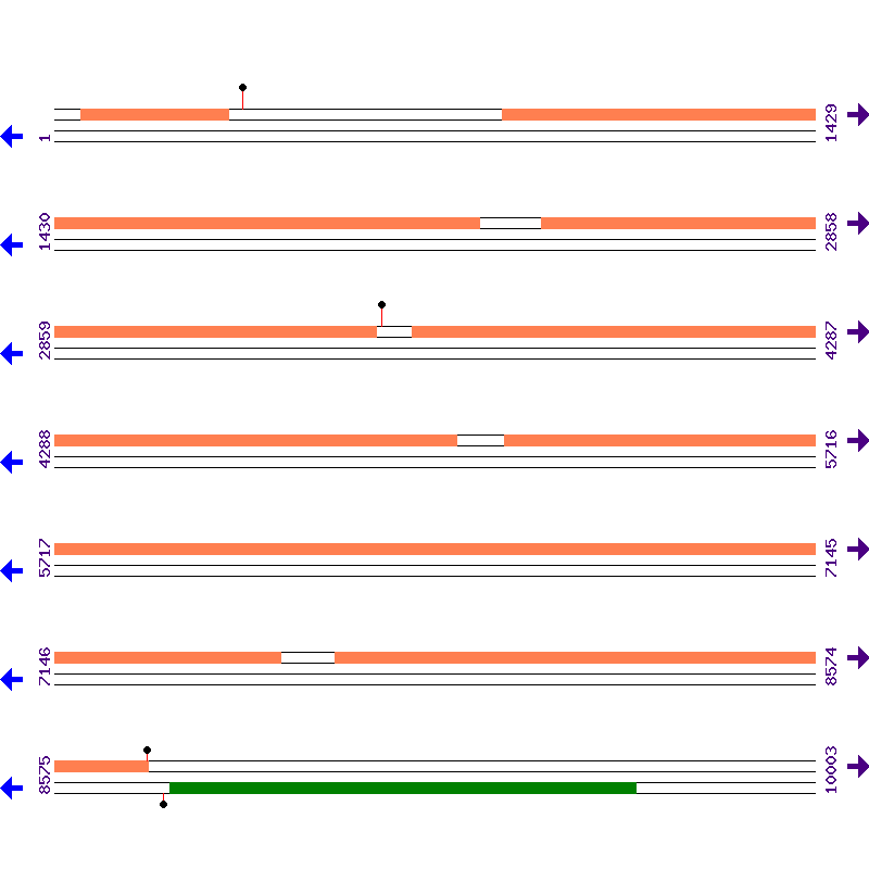 Genome View