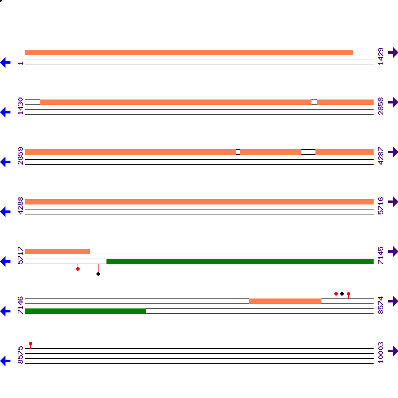 Genome View