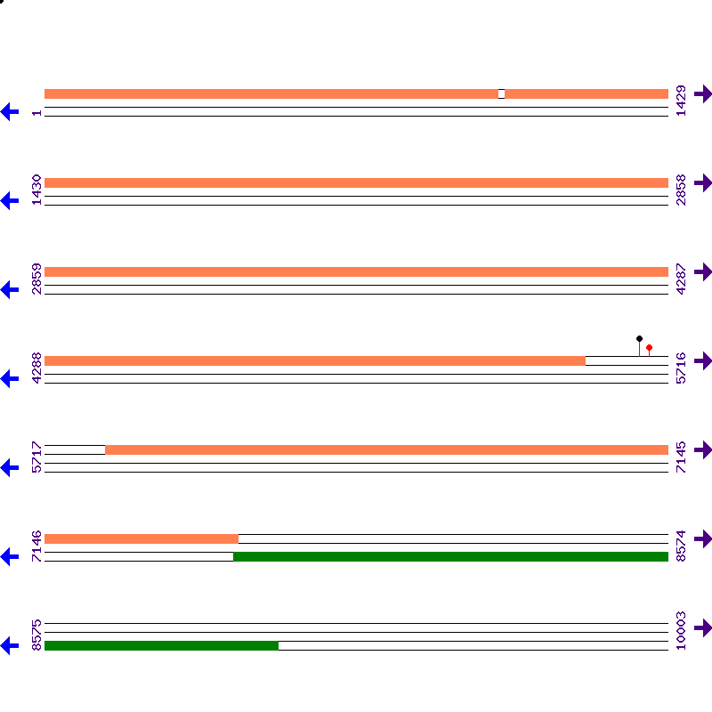 Genome View