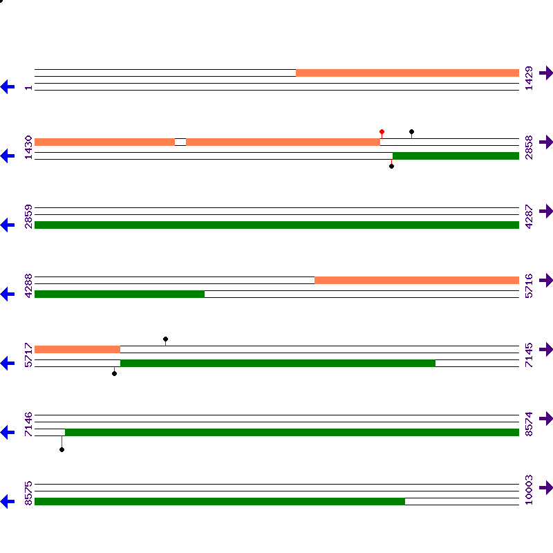 Genome View