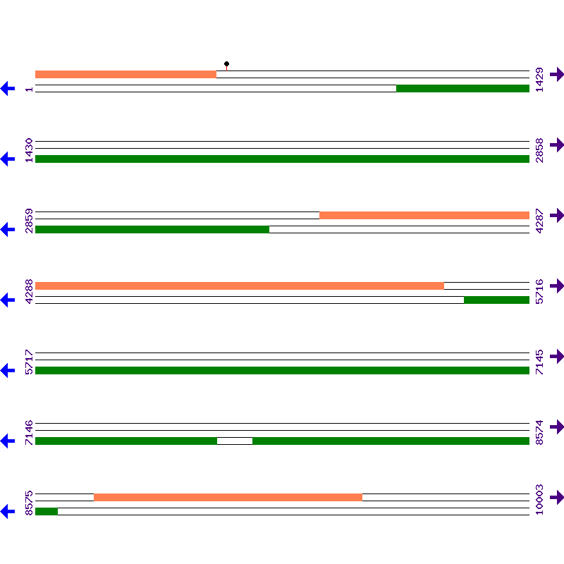 Genome View