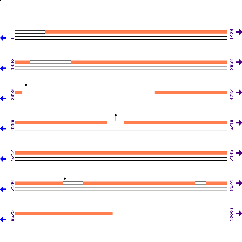 Genome View