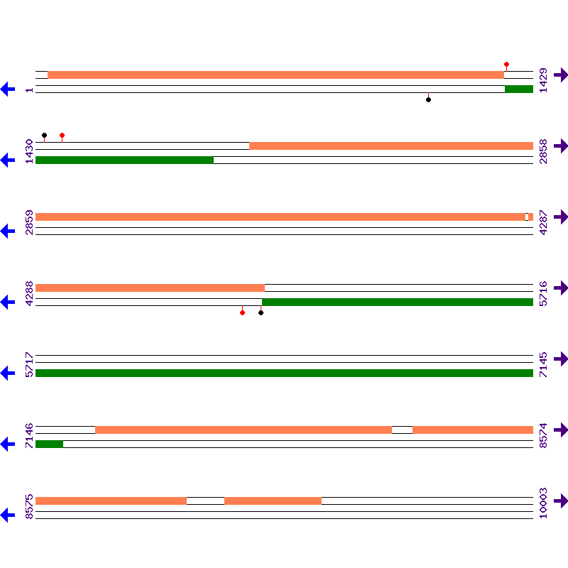 Genome View