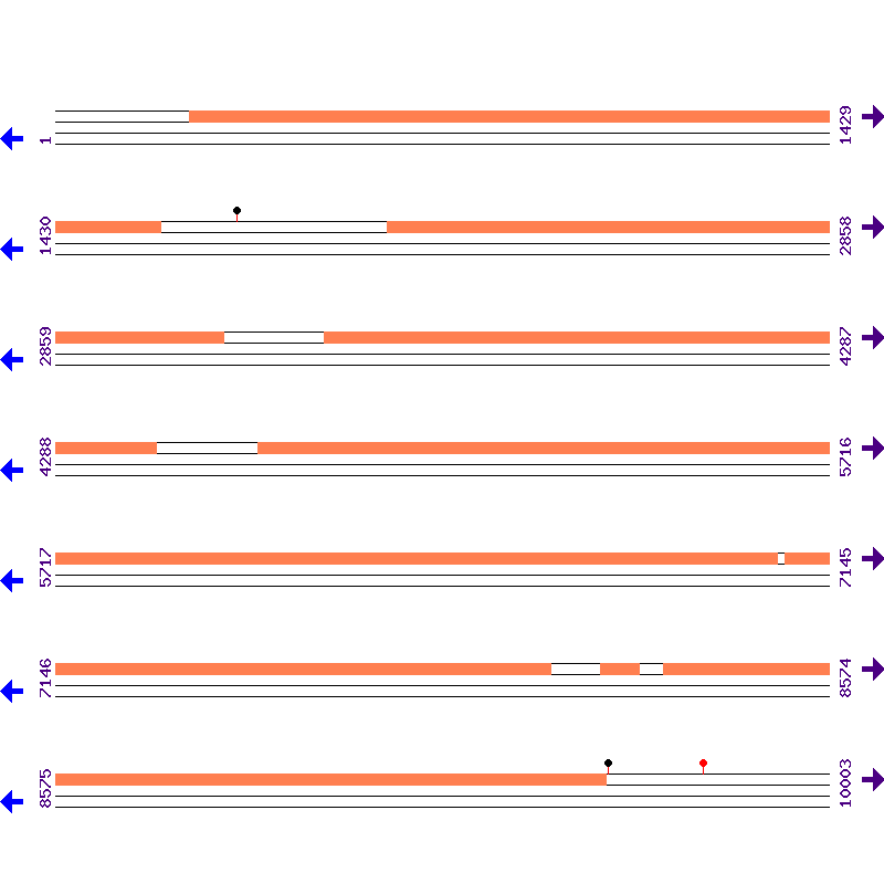 Genome View