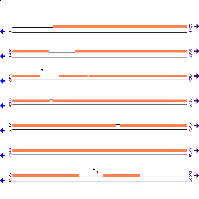 Genome View