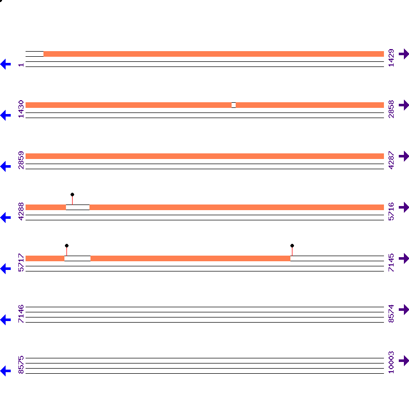 Genome View