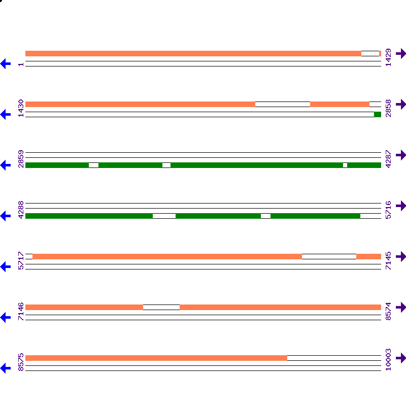 Genome View