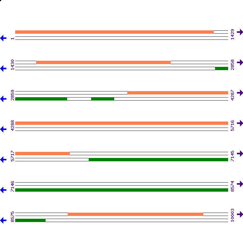 Genome View