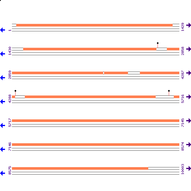 Genome View