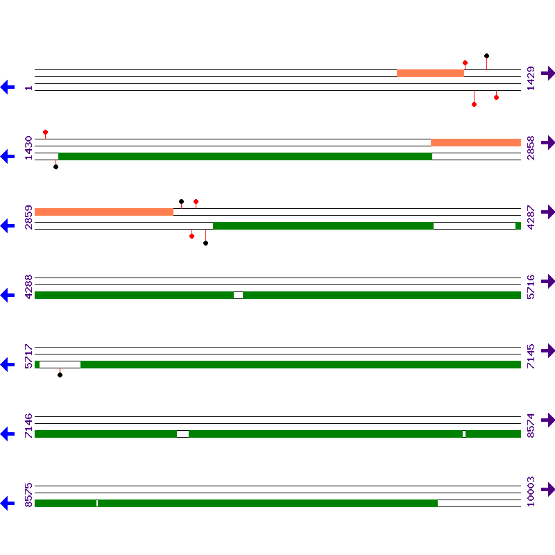 Genome View