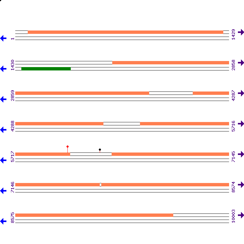 Genome View