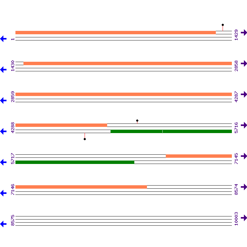 Genome View