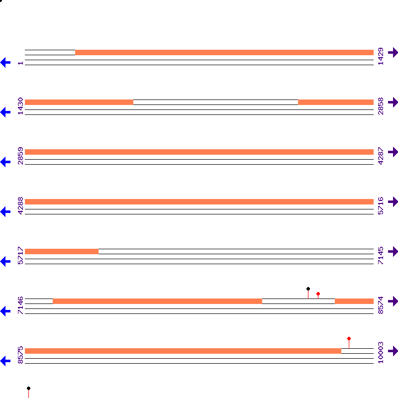 Genome View