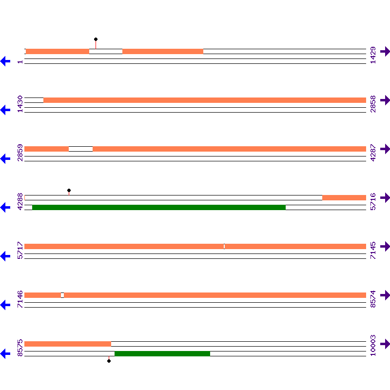 Genome View