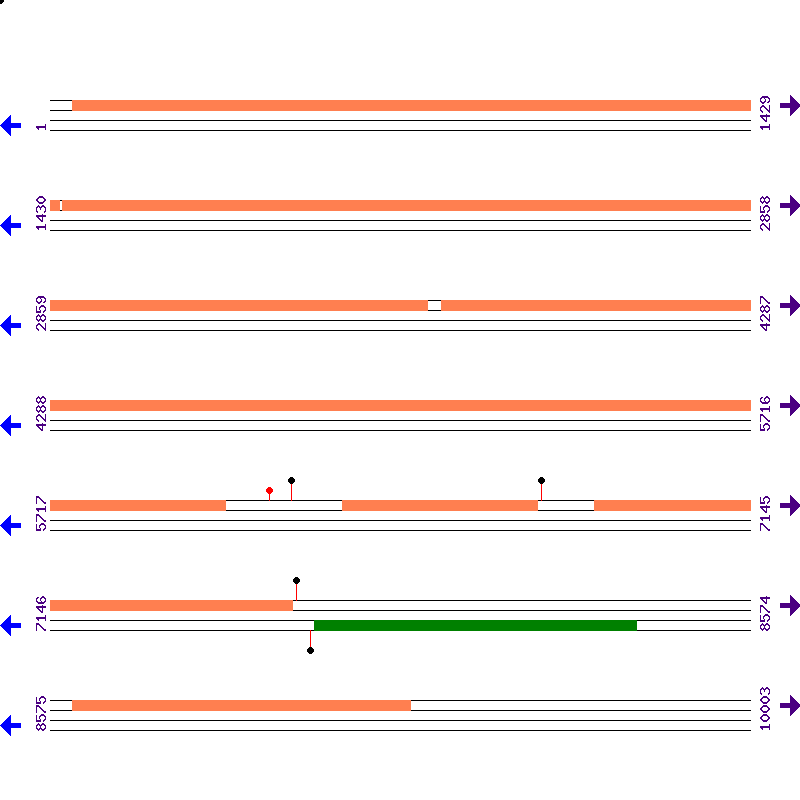 Genome View