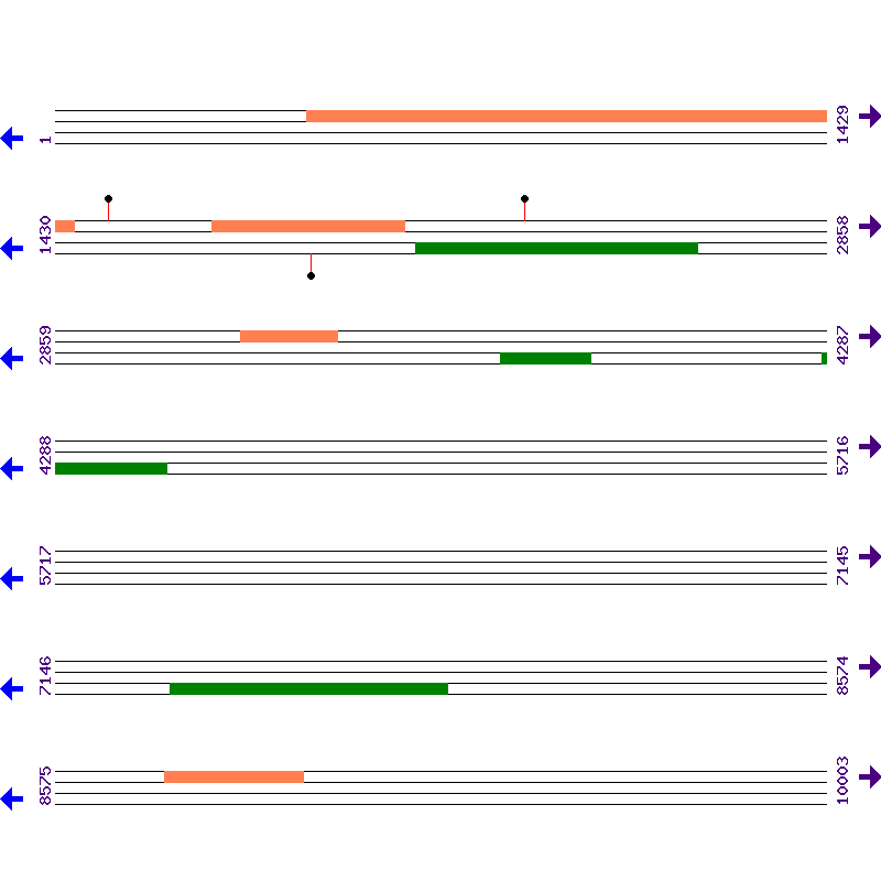 Genome View