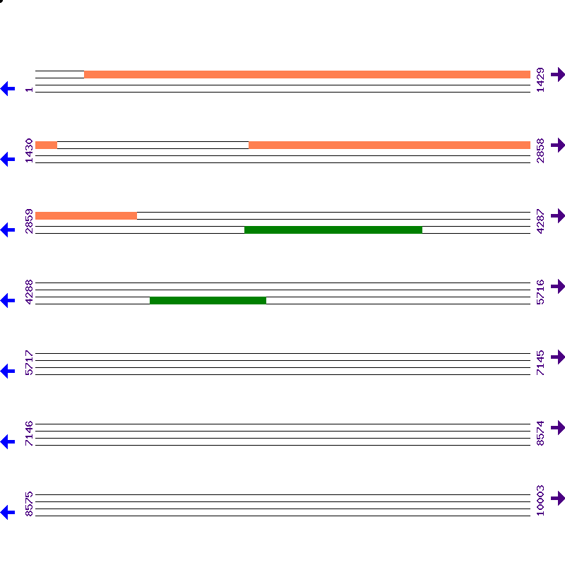 Genome View