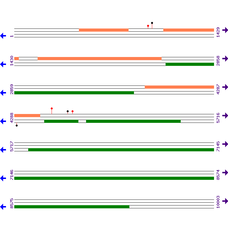 Genome View