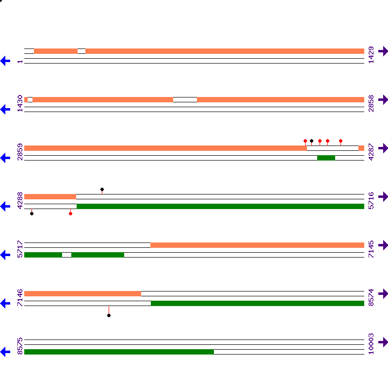 Genome View
