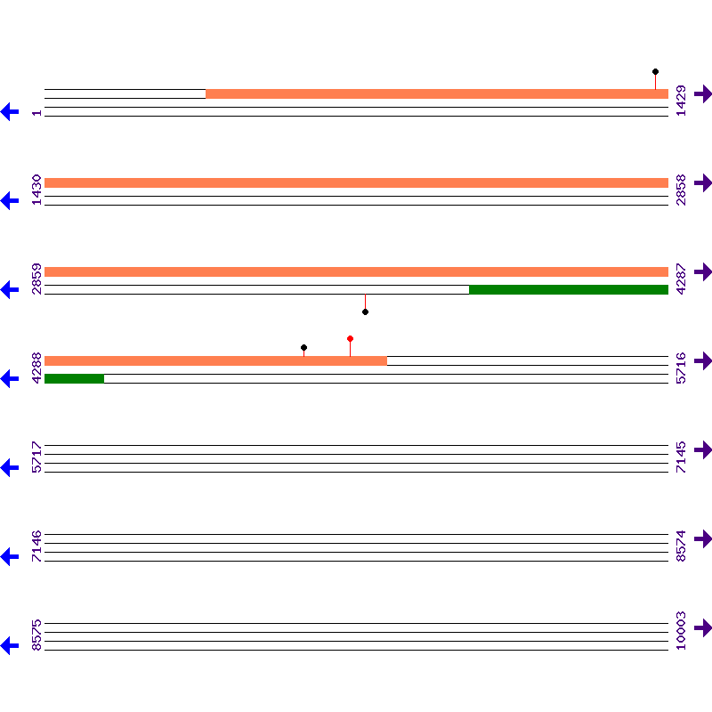 Genome View