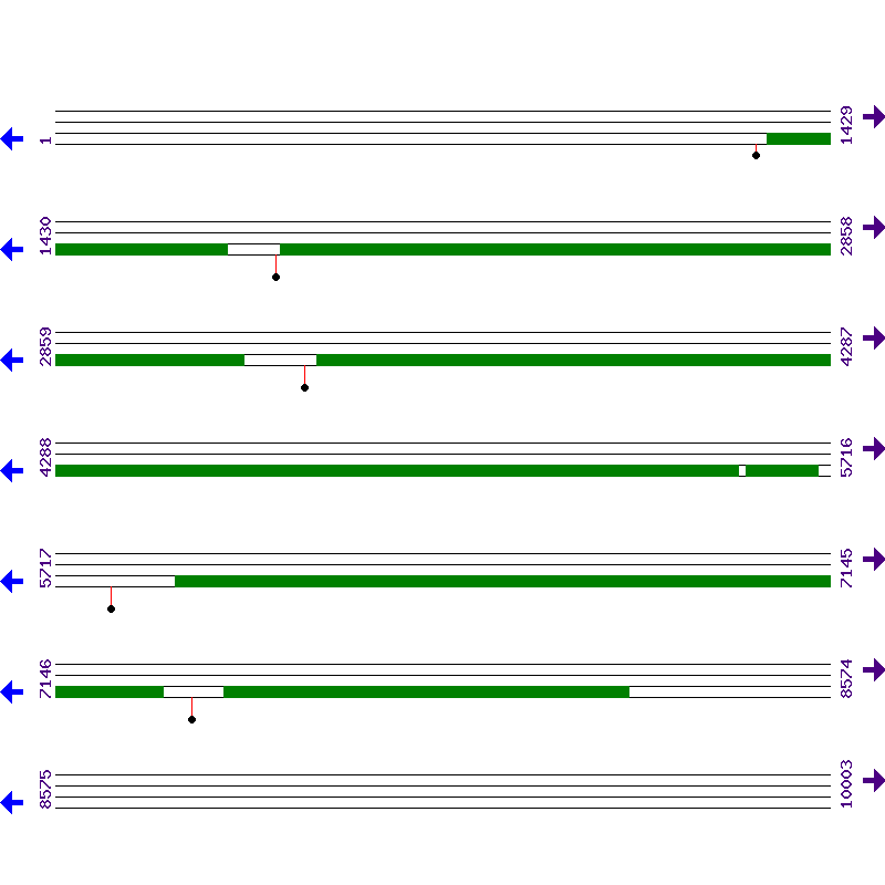 Genome View