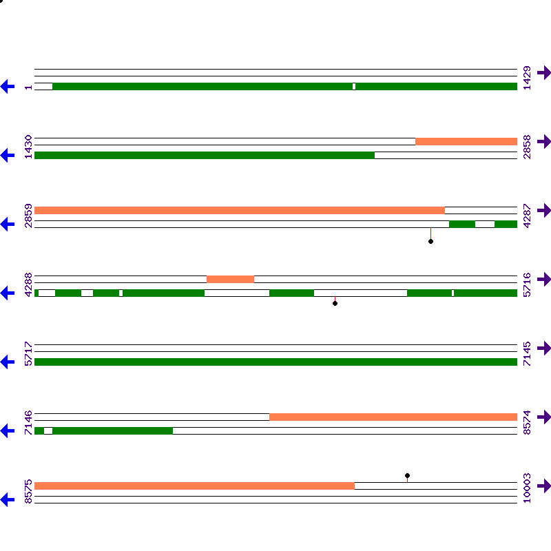 Genome View