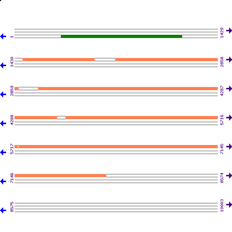 Genome View