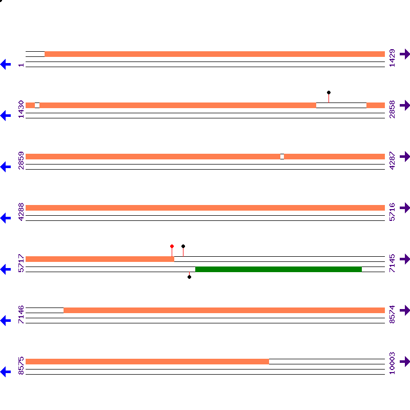 Genome View