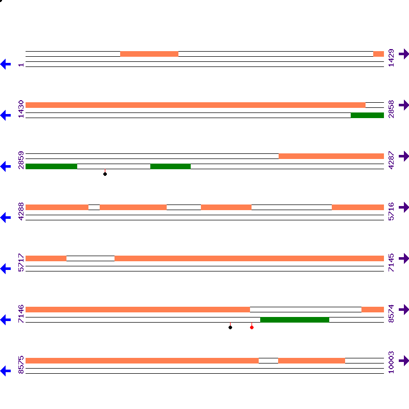 Genome View