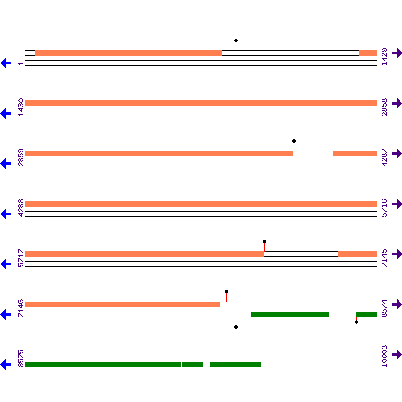 Genome View