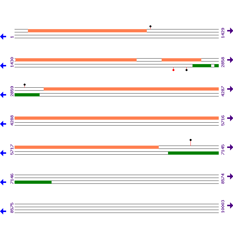 Genome View